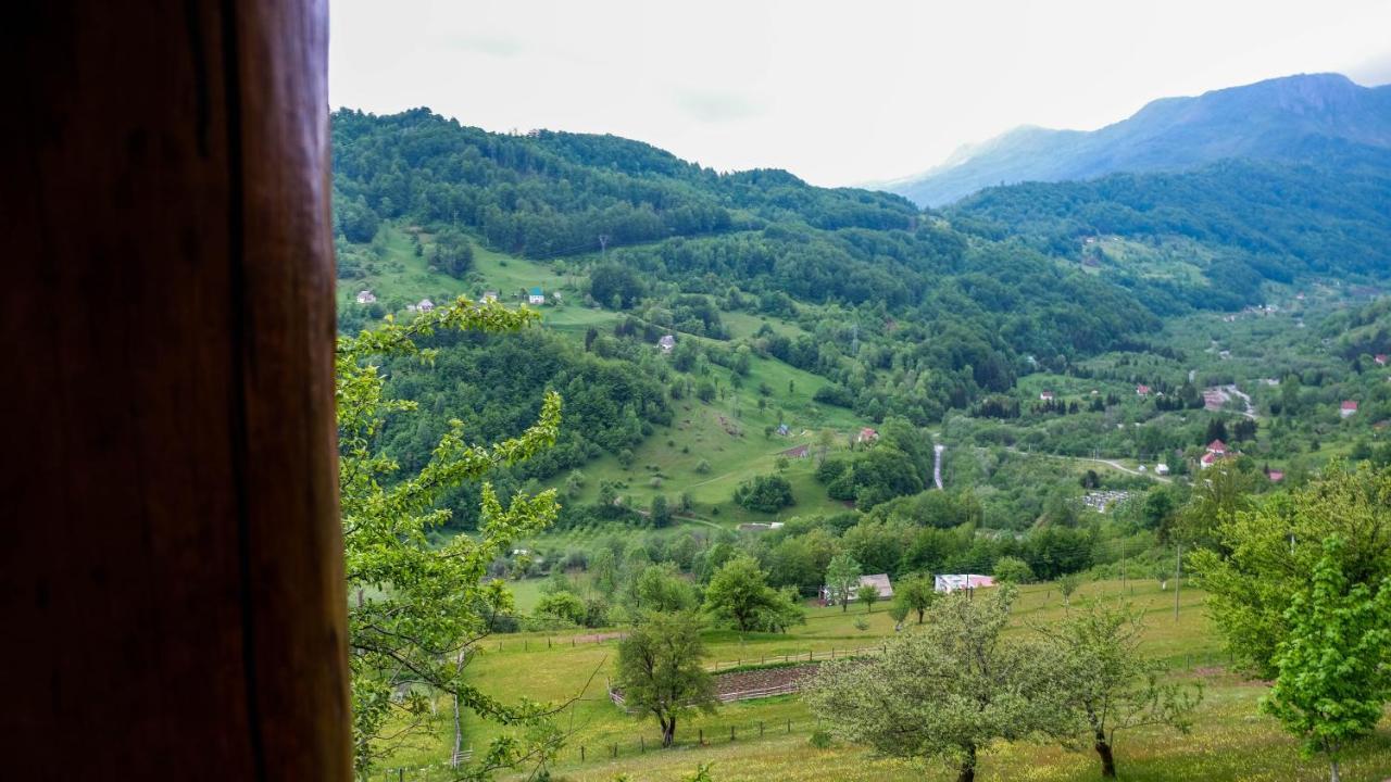Fern Farm Eco Resort Mojkovac Bagian luar foto