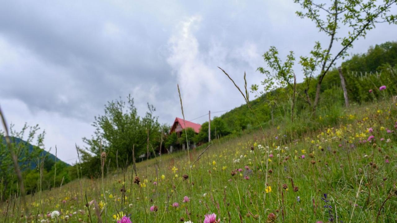 Fern Farm Eco Resort Mojkovac Bagian luar foto