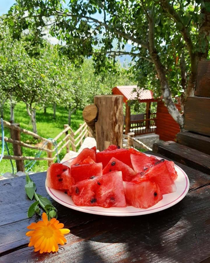 Fern Farm Eco Resort Mojkovac Bagian luar foto
