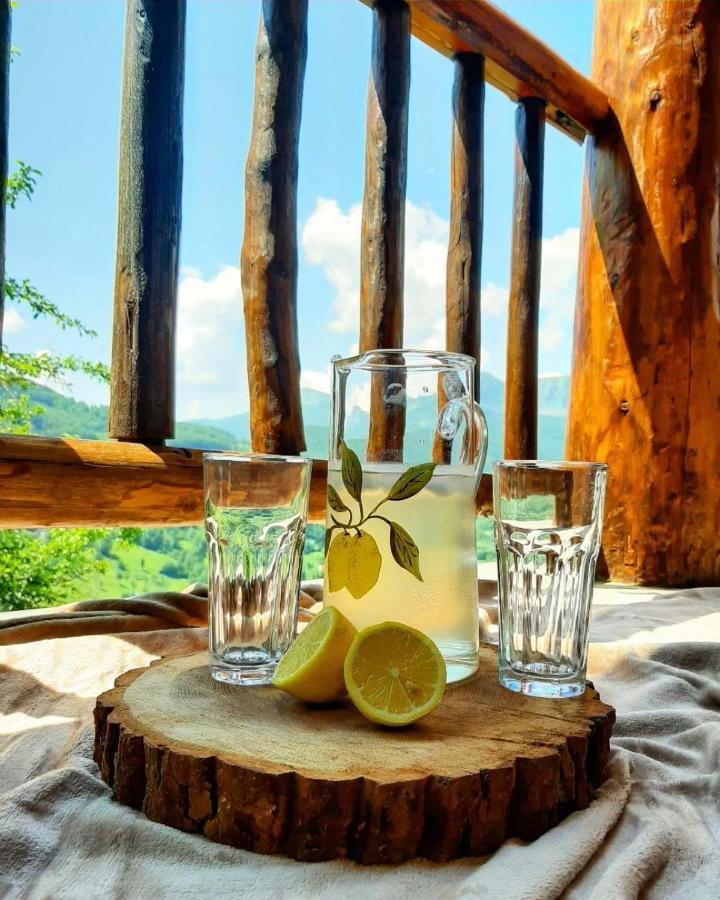 Fern Farm Eco Resort Mojkovac Bagian luar foto