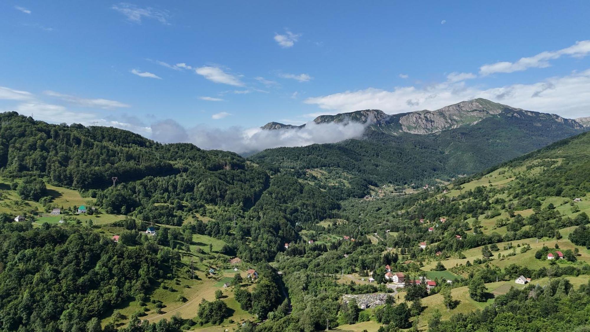 Fern Farm Eco Resort Mojkovac Bagian luar foto